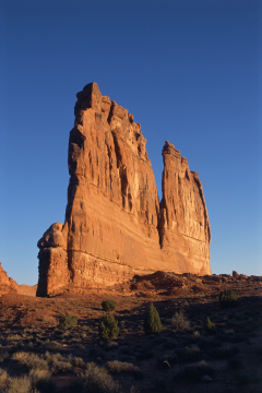 Sunrise On The Organ