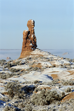 [Rising Above The Mists]